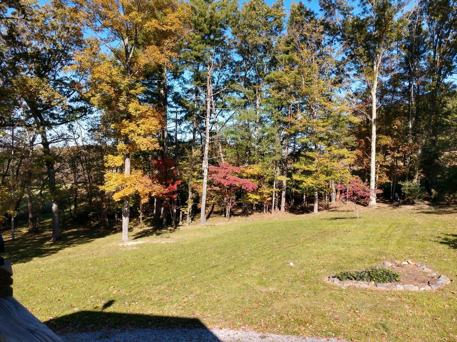 152 Oak View Lane Northeast Riner, VA 24149 - Photo 32 of 39 a view of swimming pool with lawn chairs and trees