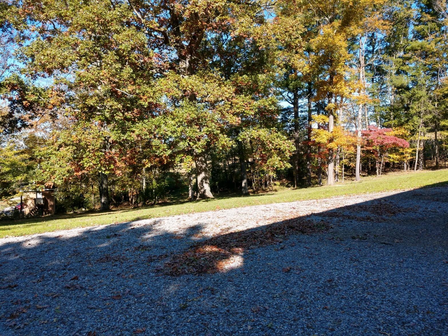 152 Oak View Lane Northeast Riner, VA 24149 - Photo 6 of 39 a view of yard with large trees