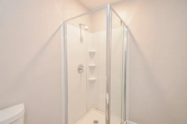 a bathroom with a shower and a toilet