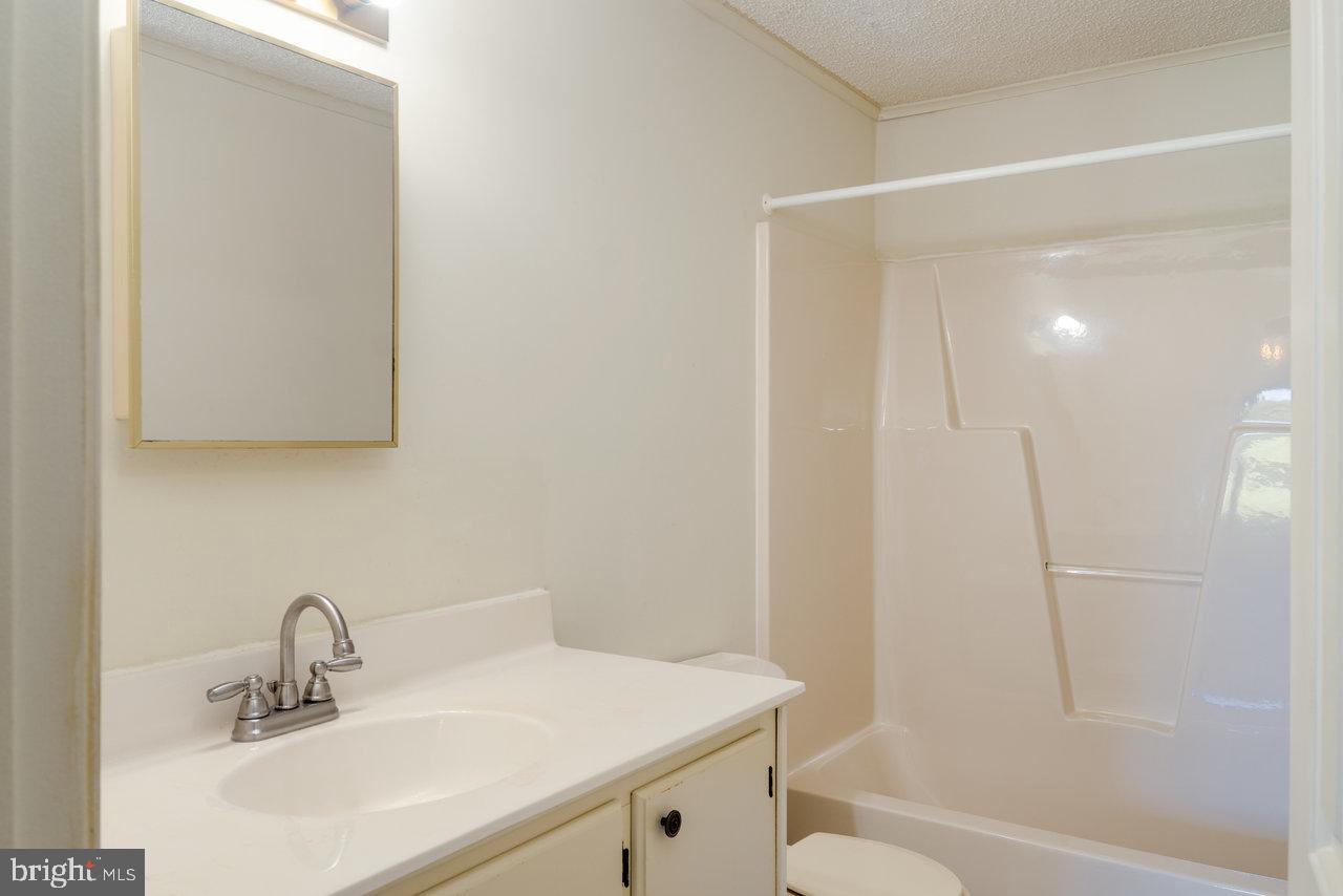 1529 Goodrich Road Stanley, VA 22851 - Photo 28 of 42 a bathroom with a sink a toilet and shower