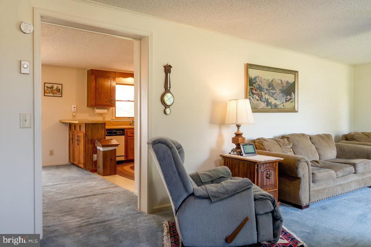 1529 Goodrich Road Stanley, VA 22851 - Photo 7 of 42 a view of a livingroom with furniture and windows