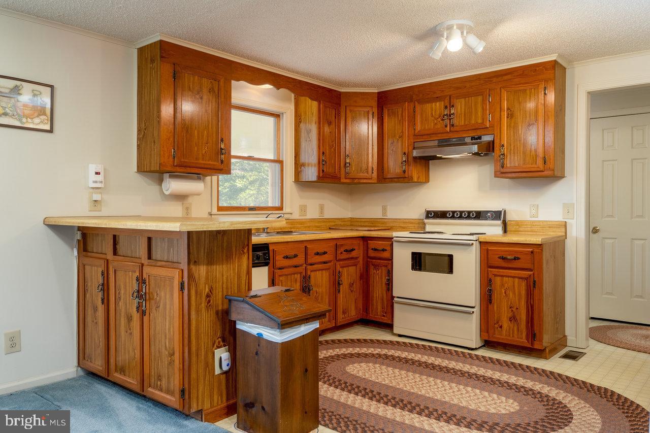 1529 Goodrich Road Stanley, VA 22851 - Photo 8 of 42 a kitchen with stainless steel appliances a stove a sink cabinets and a window