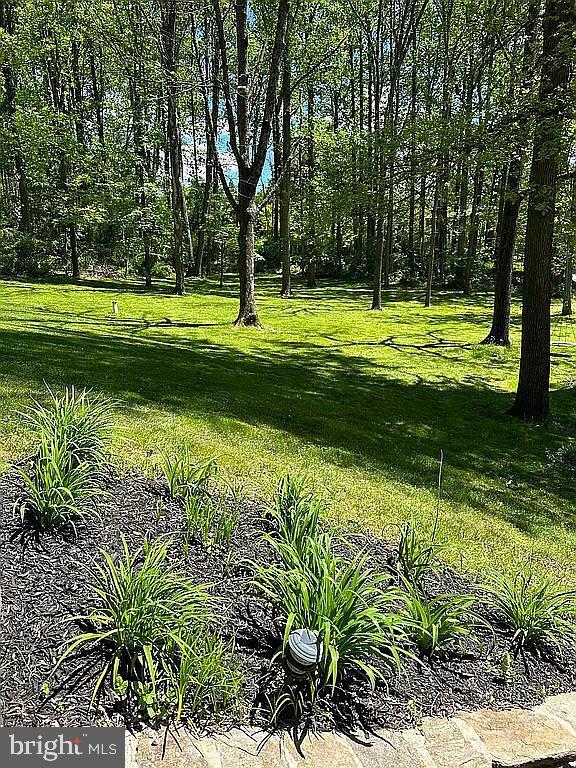 535 Webb Road Chadds Ford, PA 19317 - Photo 47 of 49 a view of a park with large trees