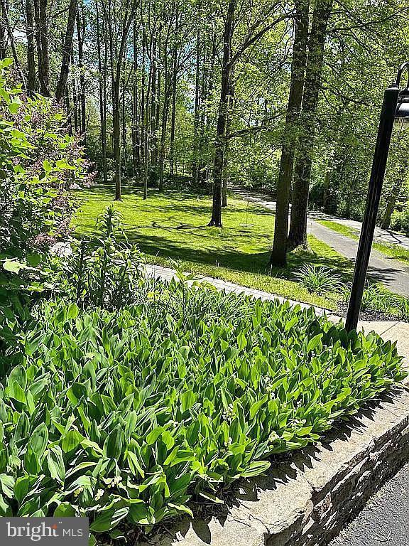 535 Webb Road Chadds Ford, PA 19317 - Photo 48 of 49 a view of a golf course with a tree