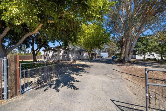 a view of a park with large trees