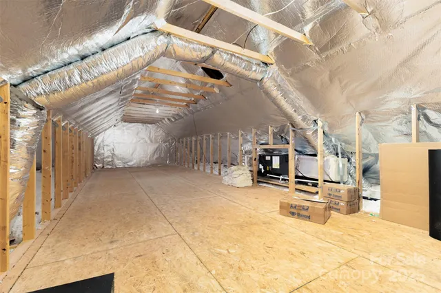 a view of a yard with plants and large trees