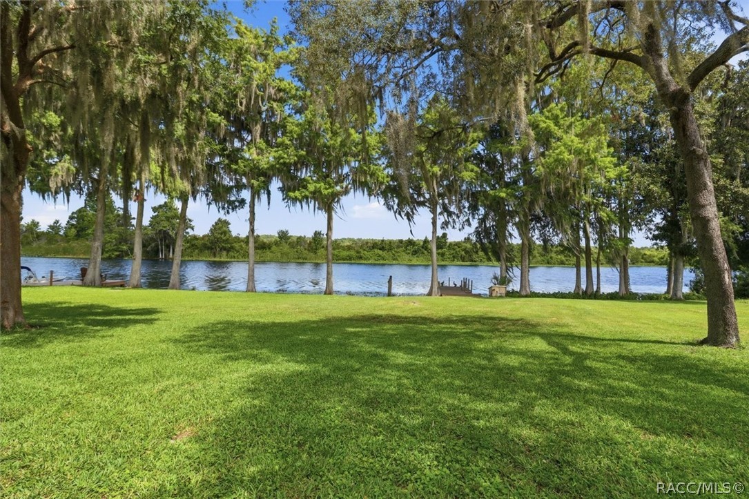 4099 West Ridge Court Dunnellon, FL 34433 - Photo 4 of 49 Spectacular view of Backwaters of the Withlacoochee River. Very scenic and breathtaking view of your back yard. Nature, at it's best!