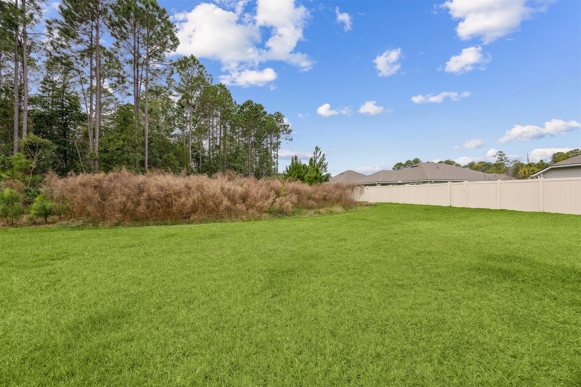 96735 Quartz Lane Yulee, FL 32097 - Photo 58 of 61 Backyard