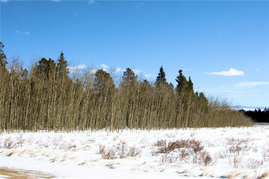 0 Wild Rye Road Fairplay, CO 80440 - Photo 11 of 22 Gallery Image 11