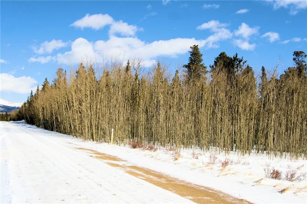 0 Wild Rye Road Fairplay, CO 80440 - Photo 13 of 22 Gallery Image 13