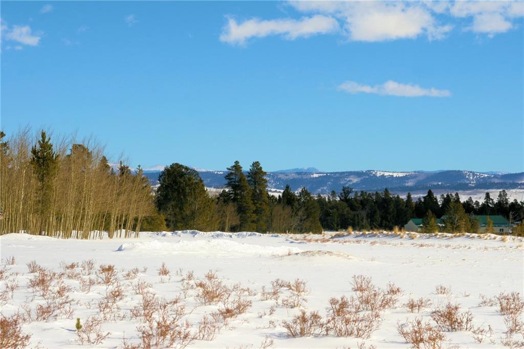 0 Wild Rye Road Fairplay, CO 80440 - Photo 14 of 22 Gallery Image 14