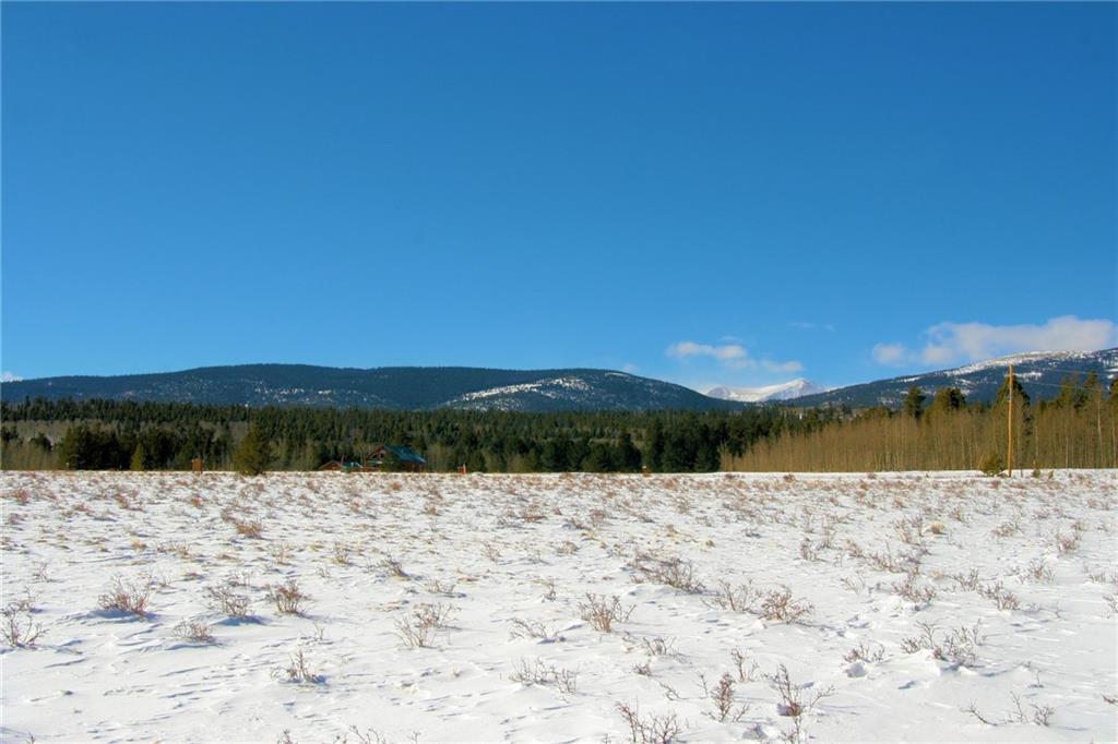 0 Wild Rye Road Fairplay, CO 80440 - Photo 19 of 22 Gallery Image 19