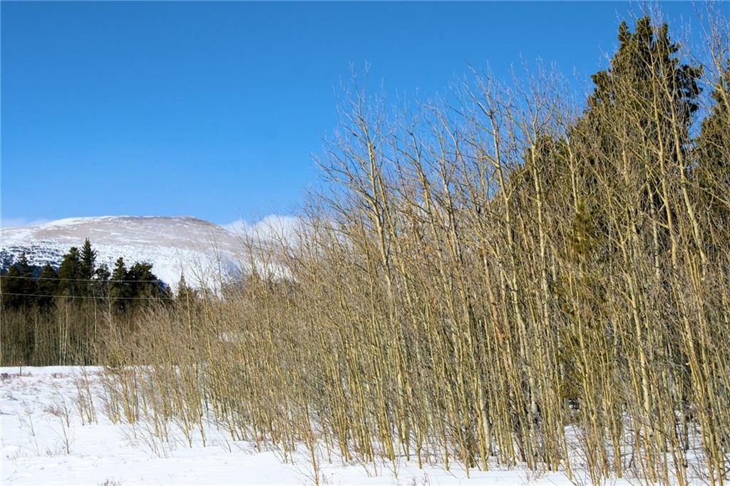 0 Wild Rye Road Fairplay, CO 80440 - Photo 21 of 22 Gallery Image 21
