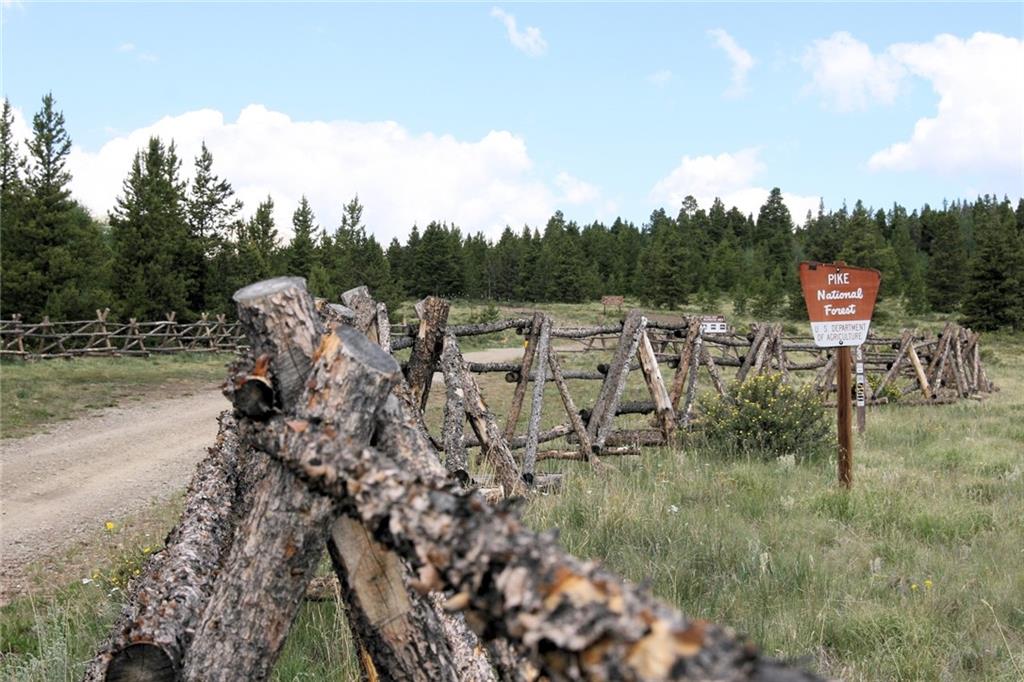 0 Wild Rye Road Fairplay, CO 80440 - Photo 4 of 22 Gallery Image 4