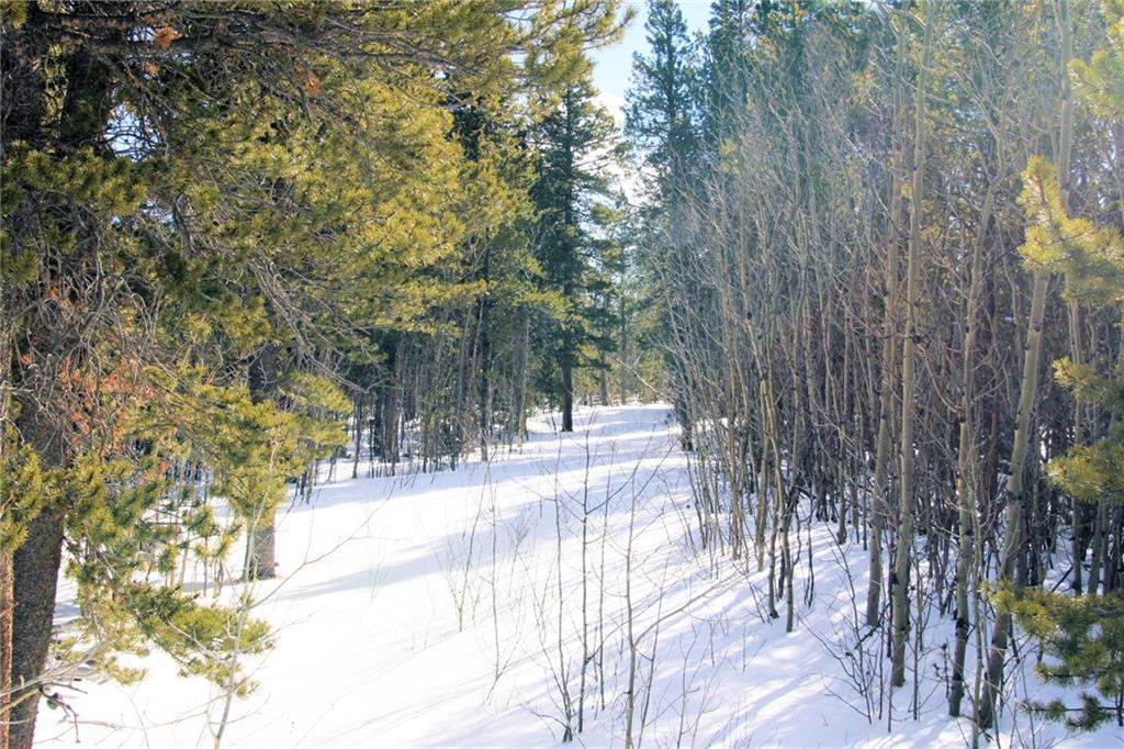 0 Wild Rye Road Fairplay, CO 80440 - Photo 8 of 22 Gallery Image 8