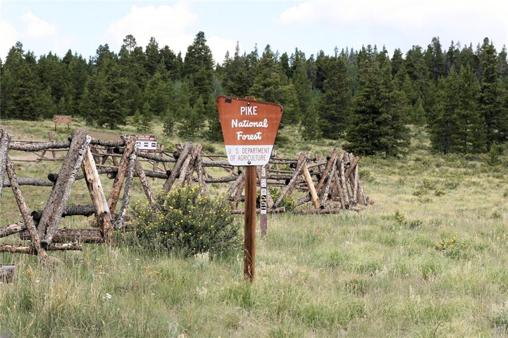 0 Wild Rye Road Fairplay, CO 80440 - Photo 9 of 22 Gallery Image 9