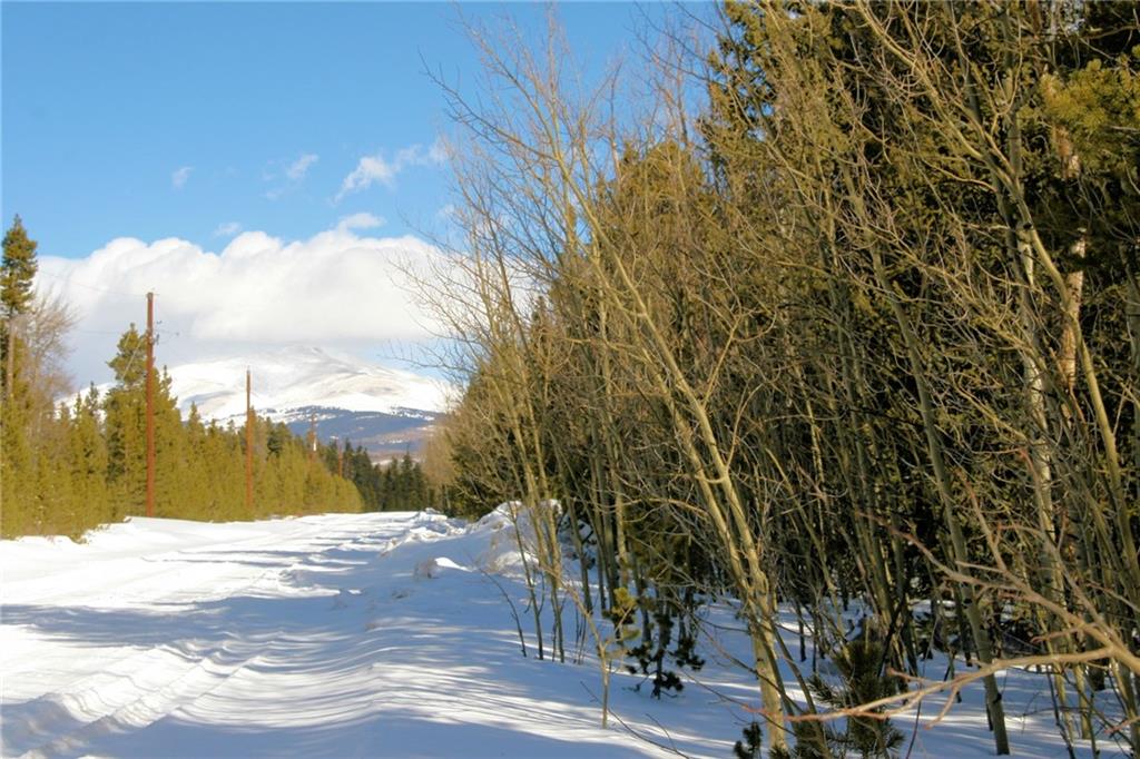 0 Wild Rye Road Fairplay, CO 80440 - Photo 10 of 22 Gallery Image 10