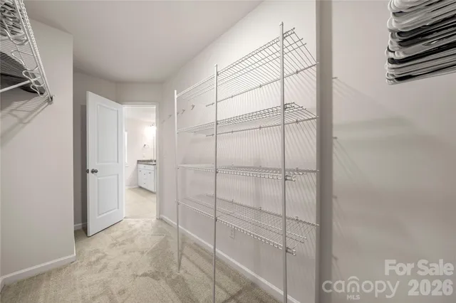 a bathroom with a shower and a glass door