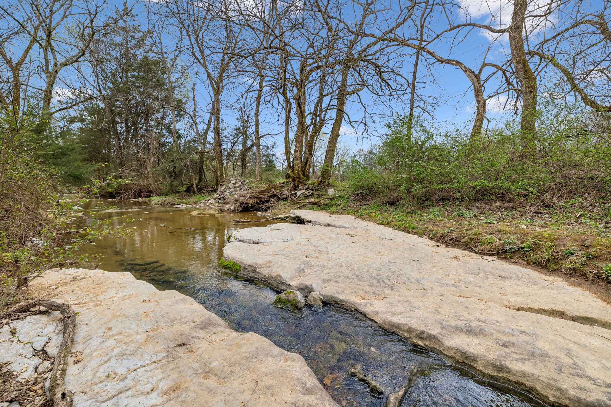 12745 North Milton Road Milton, TN 37118 - Photo 56 of 57 a view of lake