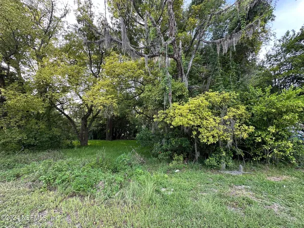 a view of a lush green forest