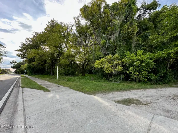 a view of backyard with green space