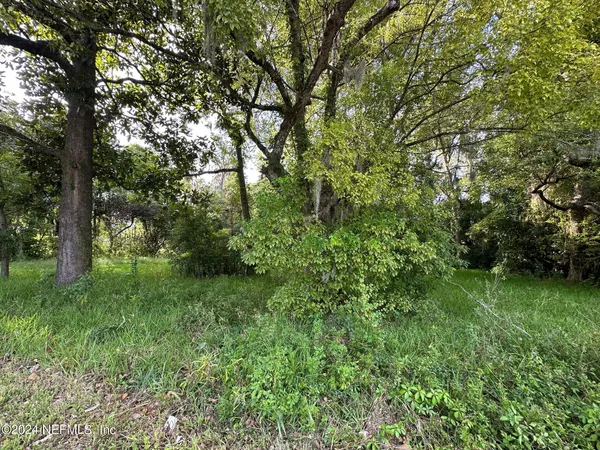 a view of a lush green space