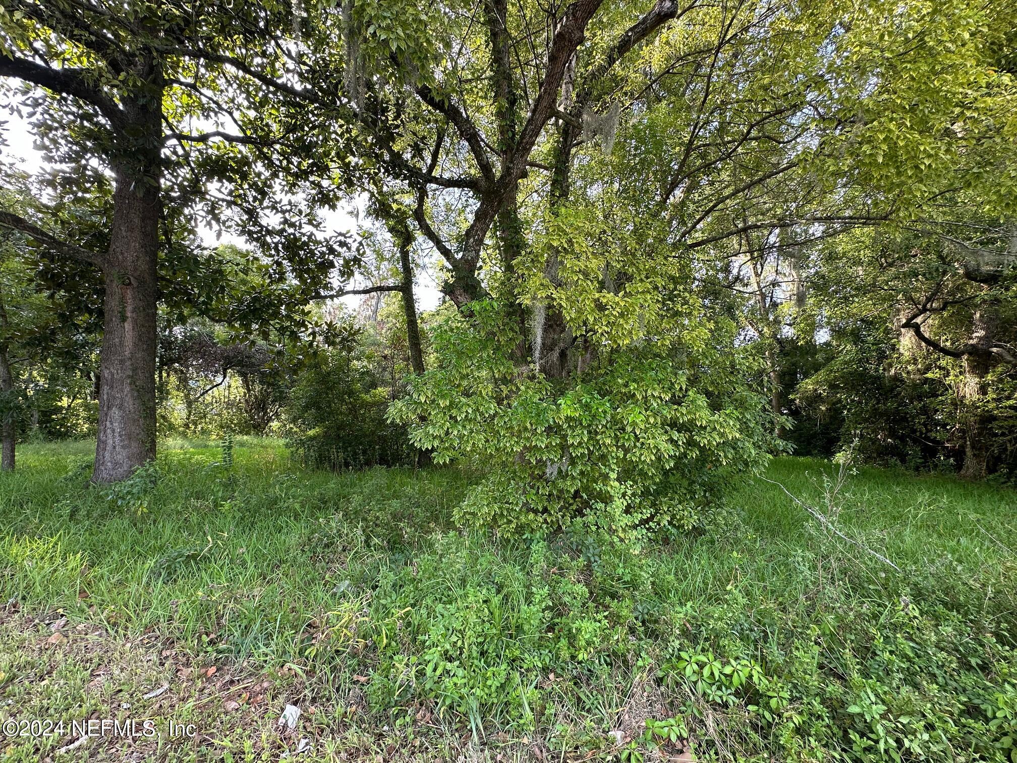 661 West Madison Street Starke, FL 32091 - Photo 5 of 12 a view of a lush green space