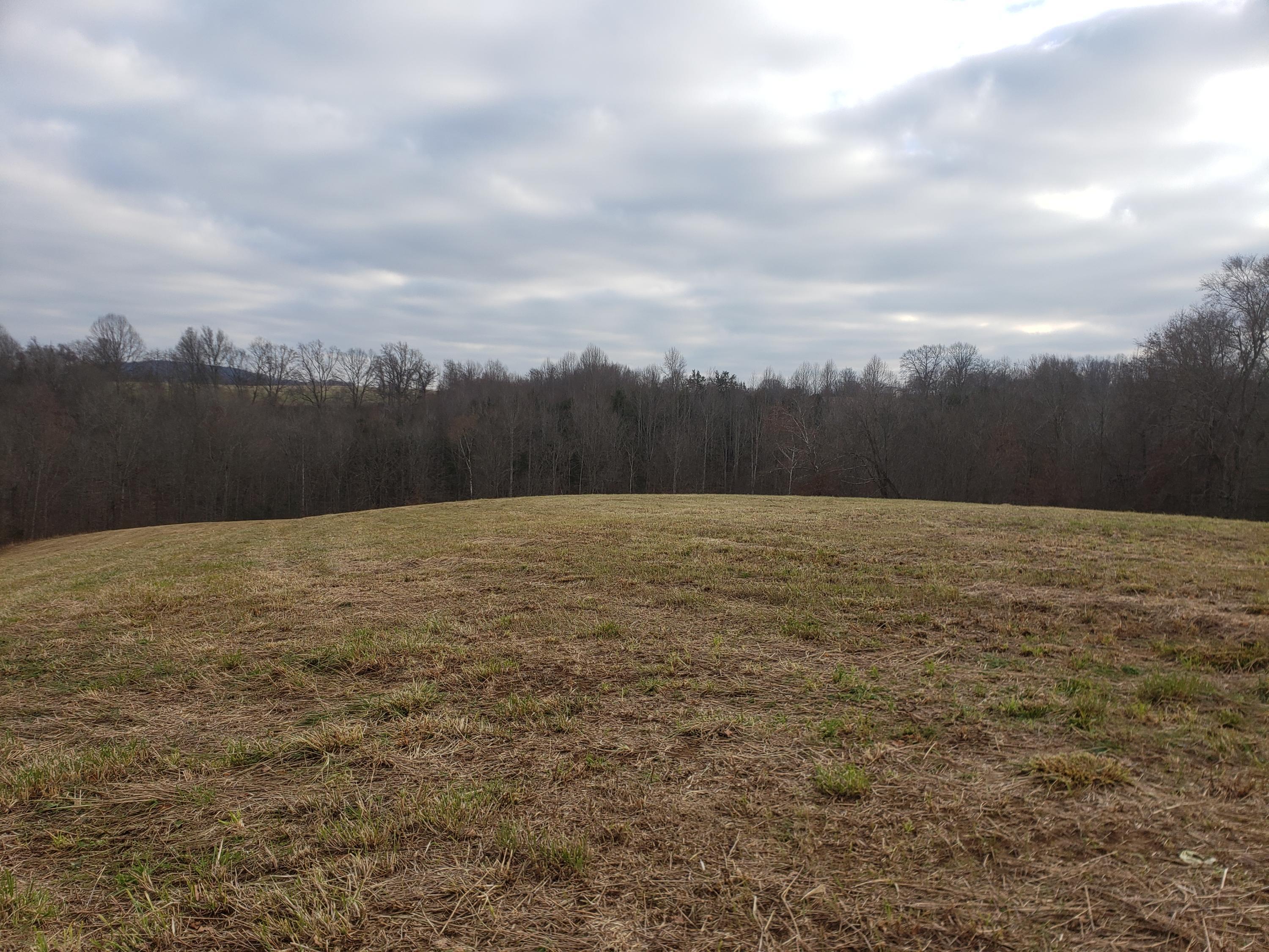 64 Raney Road Yosemite, KY 42566 - Photo 3 of 21 20191207_153105