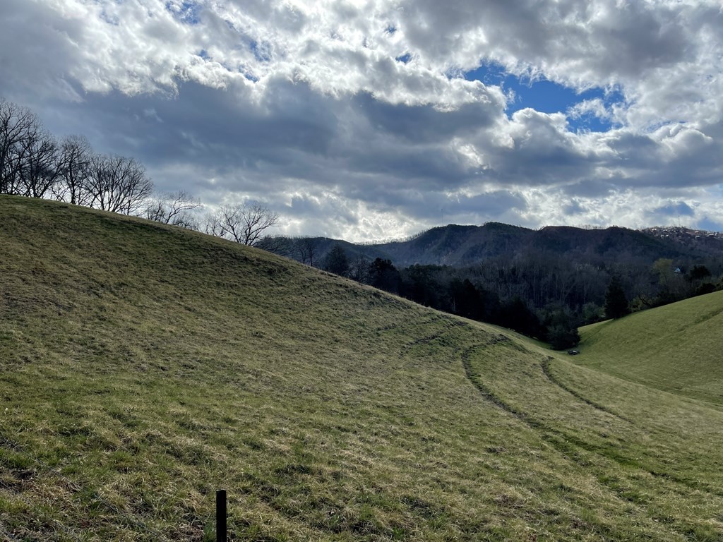 1522 Jayell Road Sevierville, TN 37862 - Photo 8 of 20