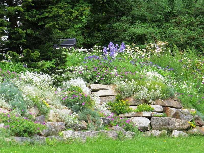 99 Main Street Tenants Harbor, ME 04860 - Photo 3 of 35 Yard/Garden.