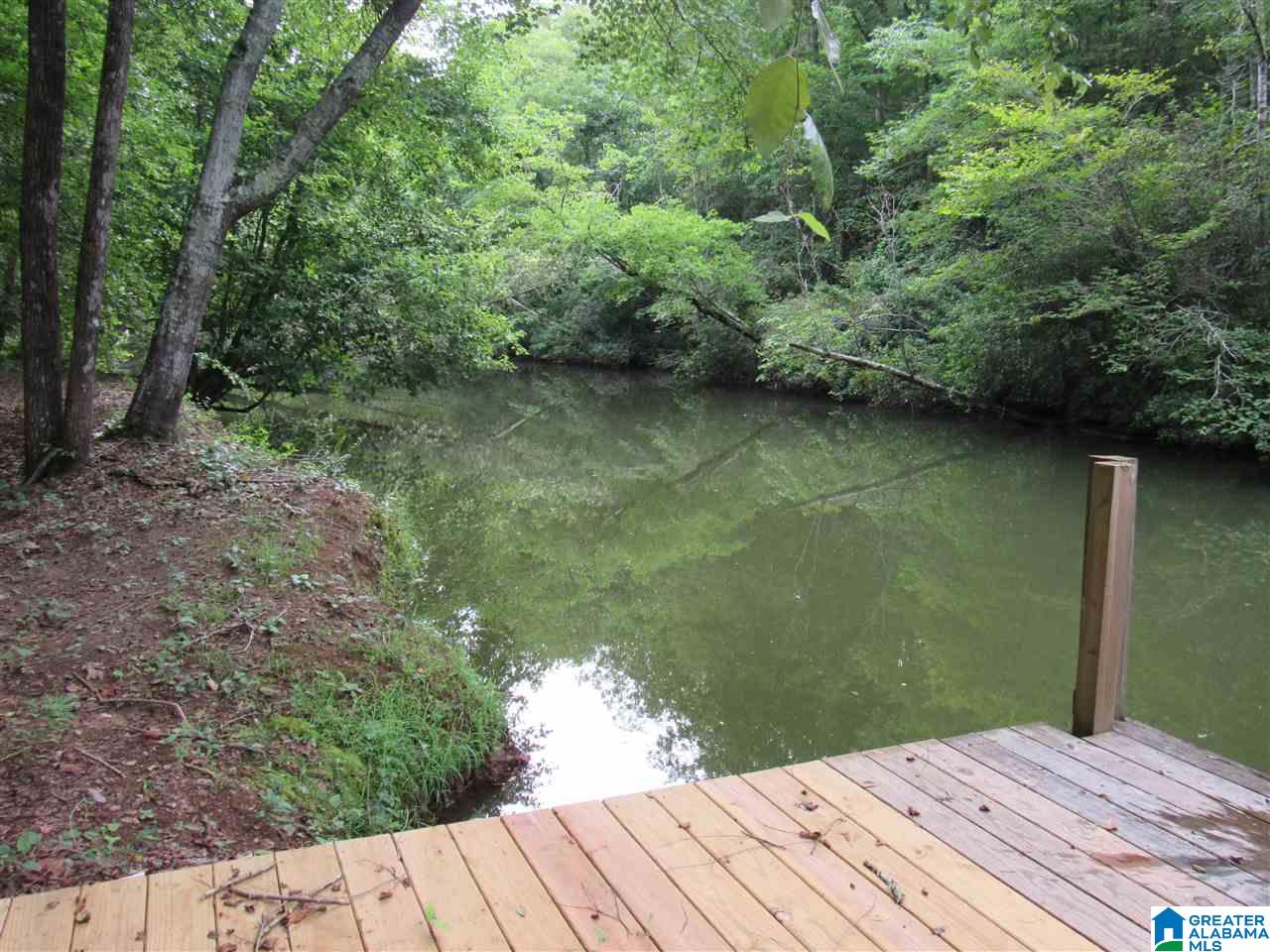 318 Pine Ridge Road Wedowee, AL 36278 - Photo 6 of 20