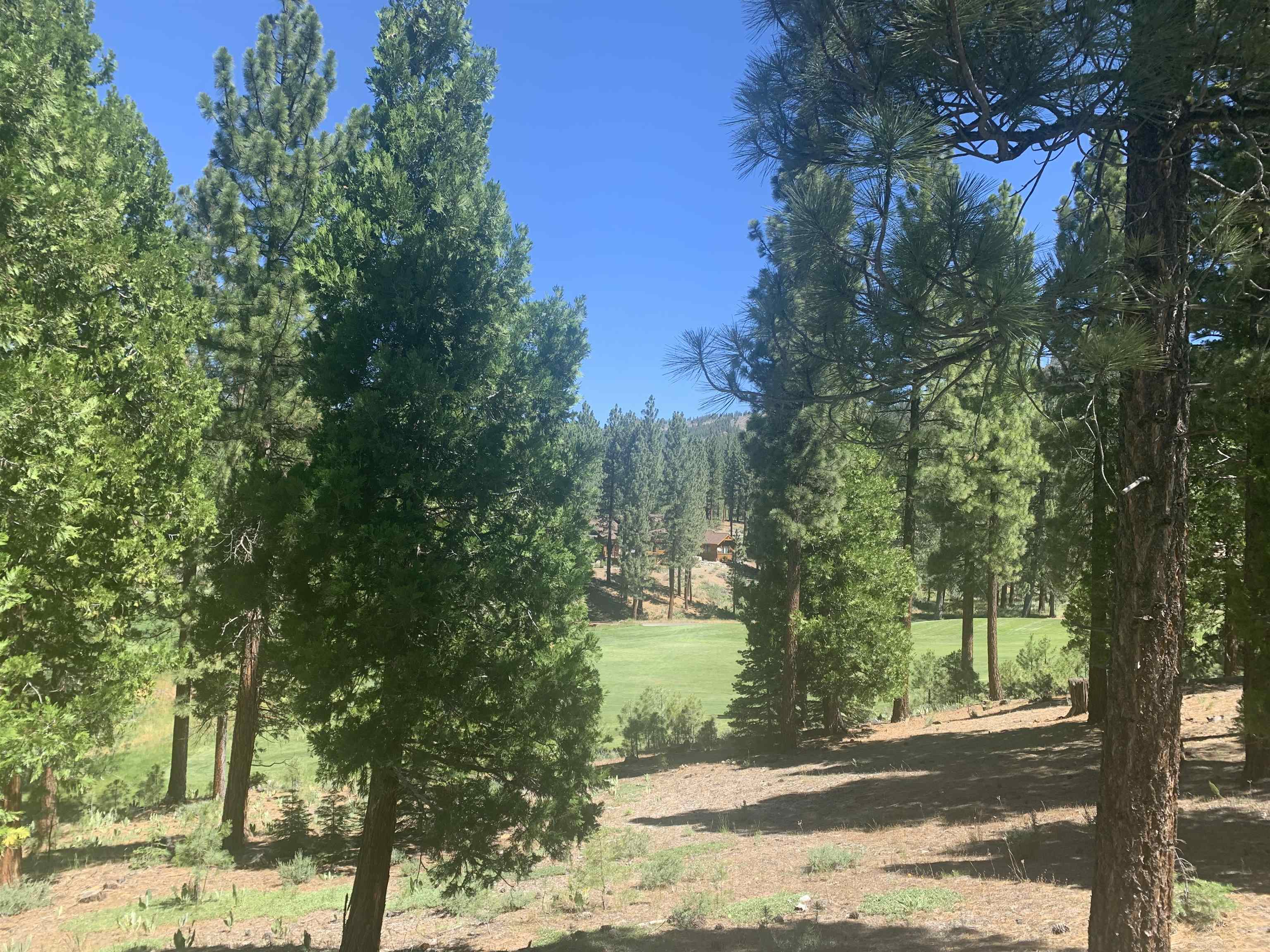 2104 Grizzly Ranch Road Portola, CA 96122 - Photo 3 of 13 a view of a yard with plants and trees