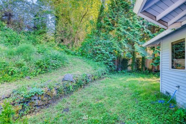 a view of a backyard with potted plants and large tree