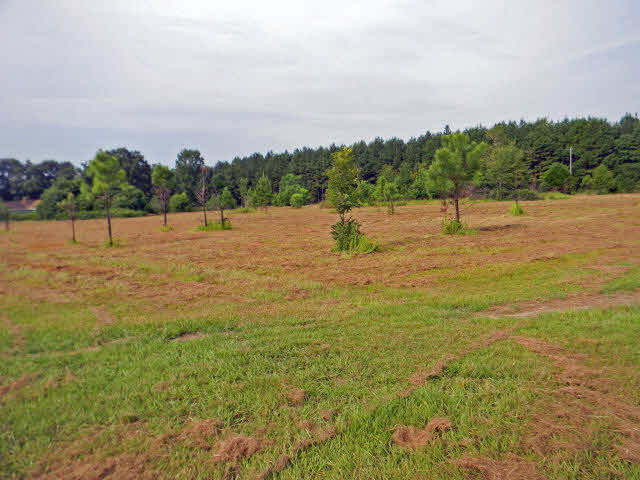 26300 Ard Road Robertsdale, AL 36567 - Photo 1 of 1