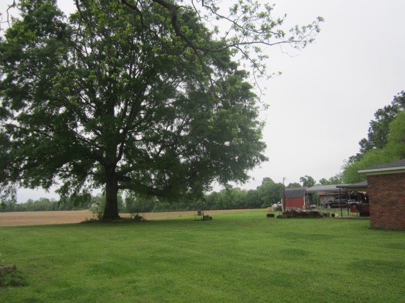 154 Star Road Henning, TN 38041 - Photo 8 of 24 Gallery Image 8