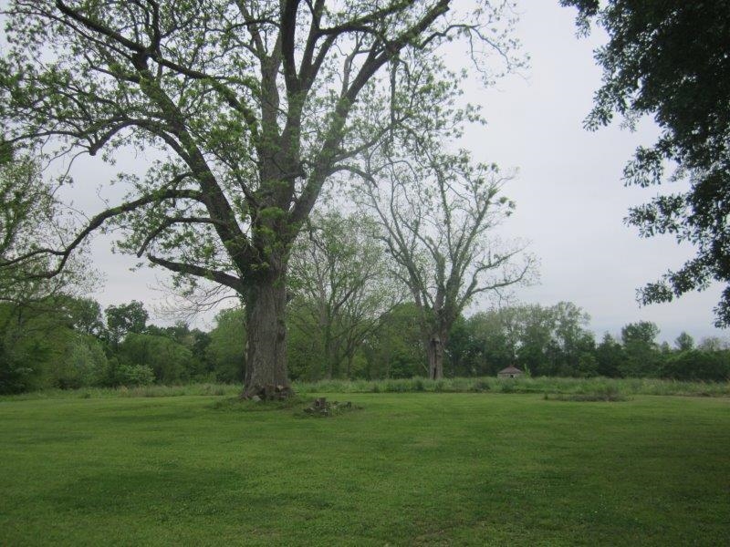 154 Star Road Henning, TN 38041 - Photo 9 of 24 Gallery Image 9