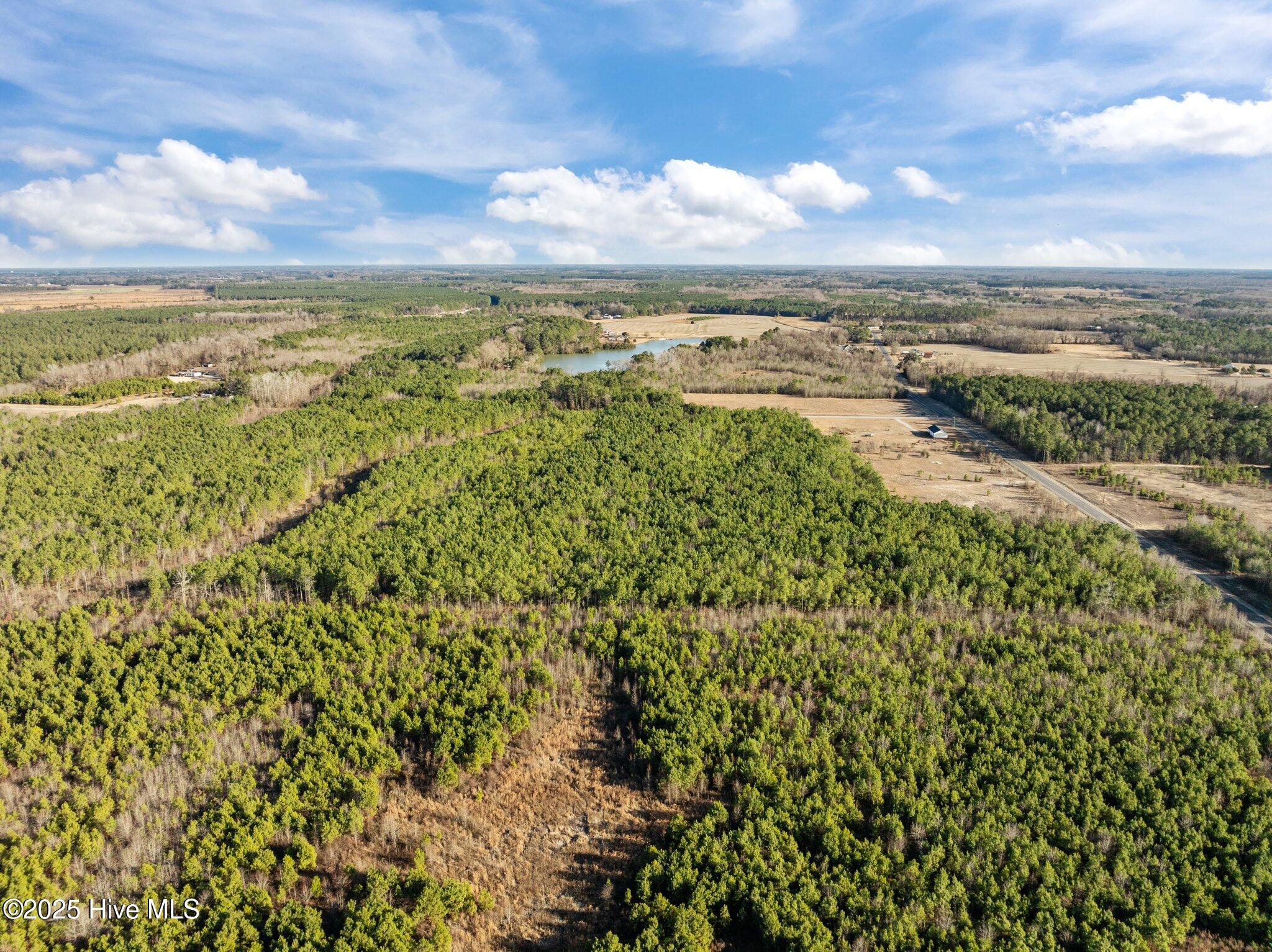 7-web-or-mls-DJI_0701