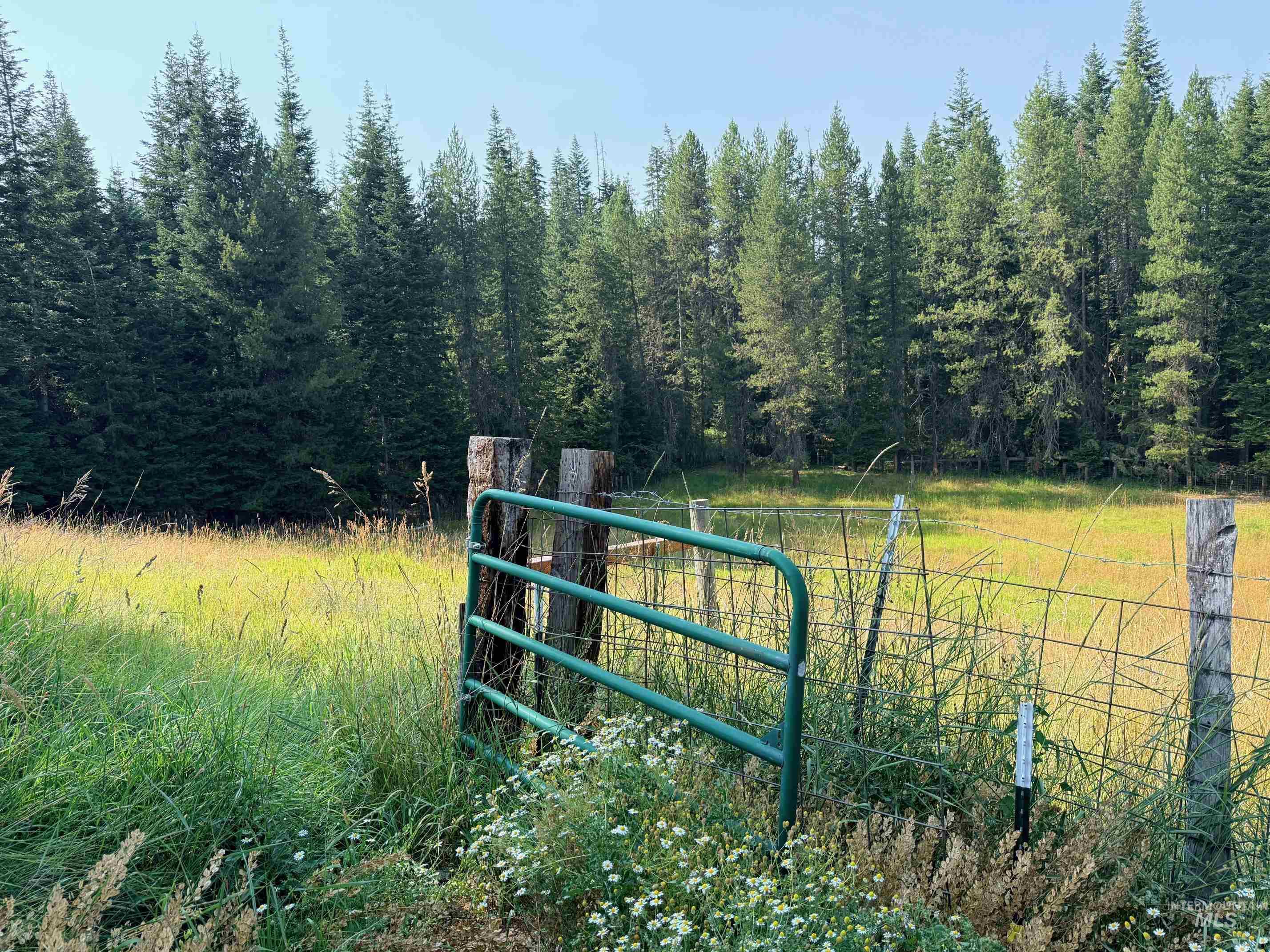126 Aitken Road Weippe, ID 83553 - Photo 28 of 39 Expansive natural landscape featuring a metal gate, wood posts, wire fencing, and mature evergreen trees