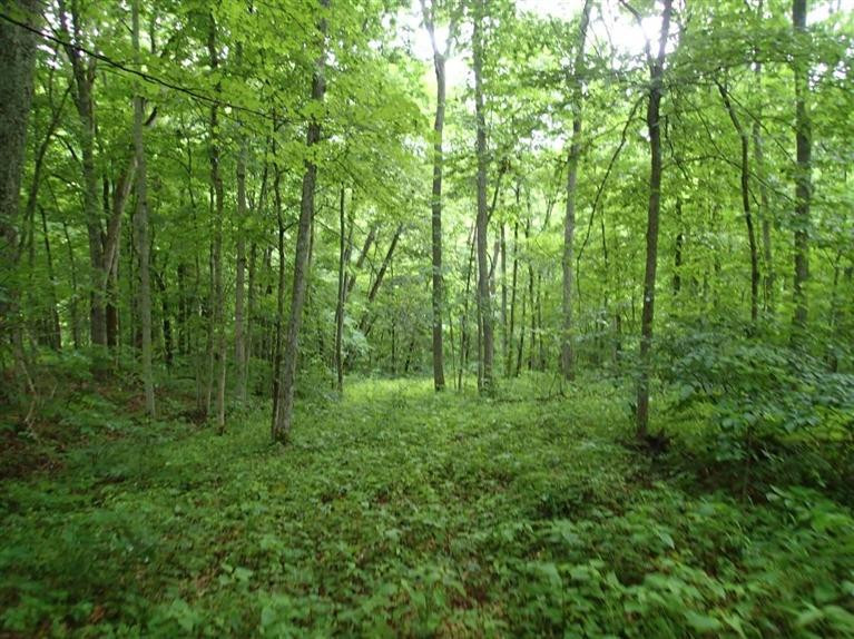 2472 Chaney Road Brooksville, KY 41004 - Photo 23 of 30 Gallery Image 23