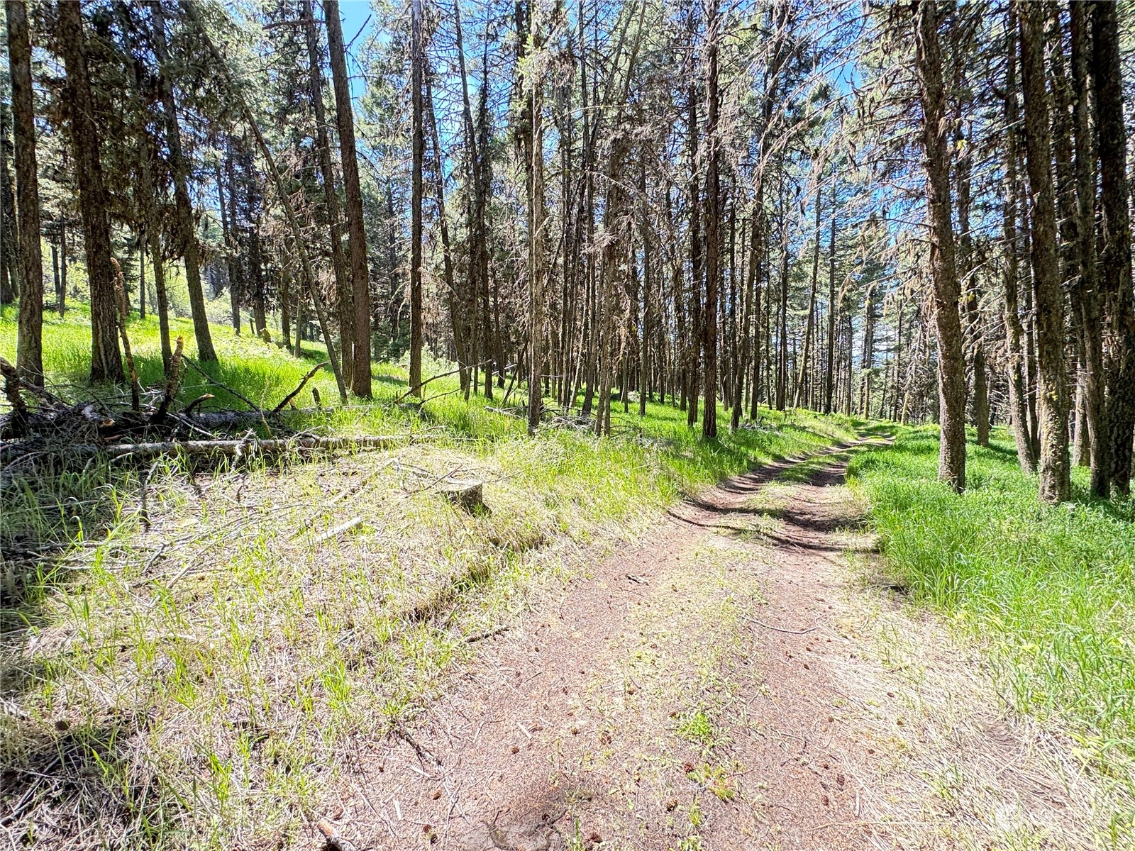 0 Janet Marie Road Oroville, WA 98844 - Photo 24 of 34 Gallery Image 24