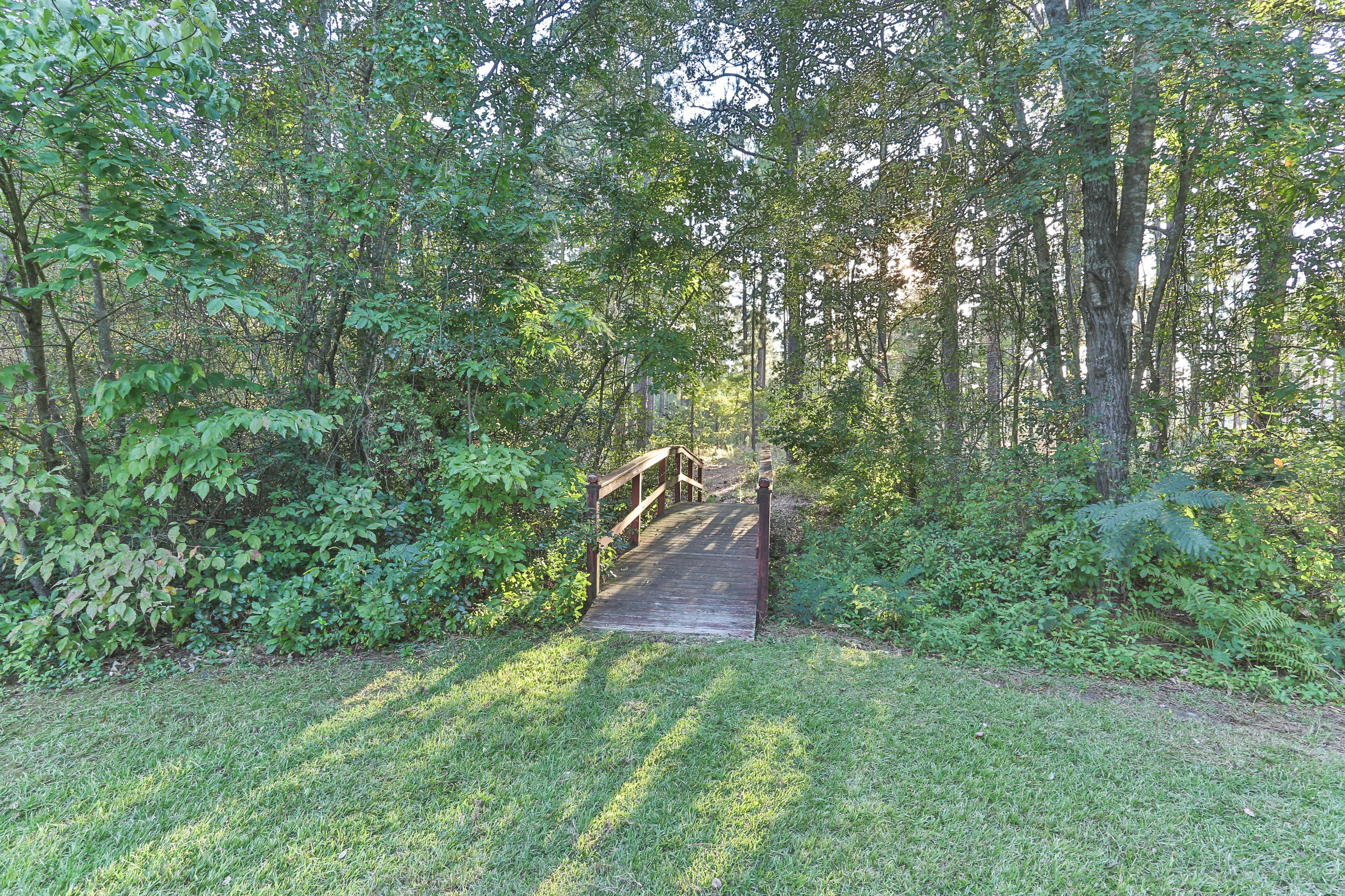 140 Fairway Drive Rockingham, NC 28379 - Photo 51 of 60 2Z1A6841