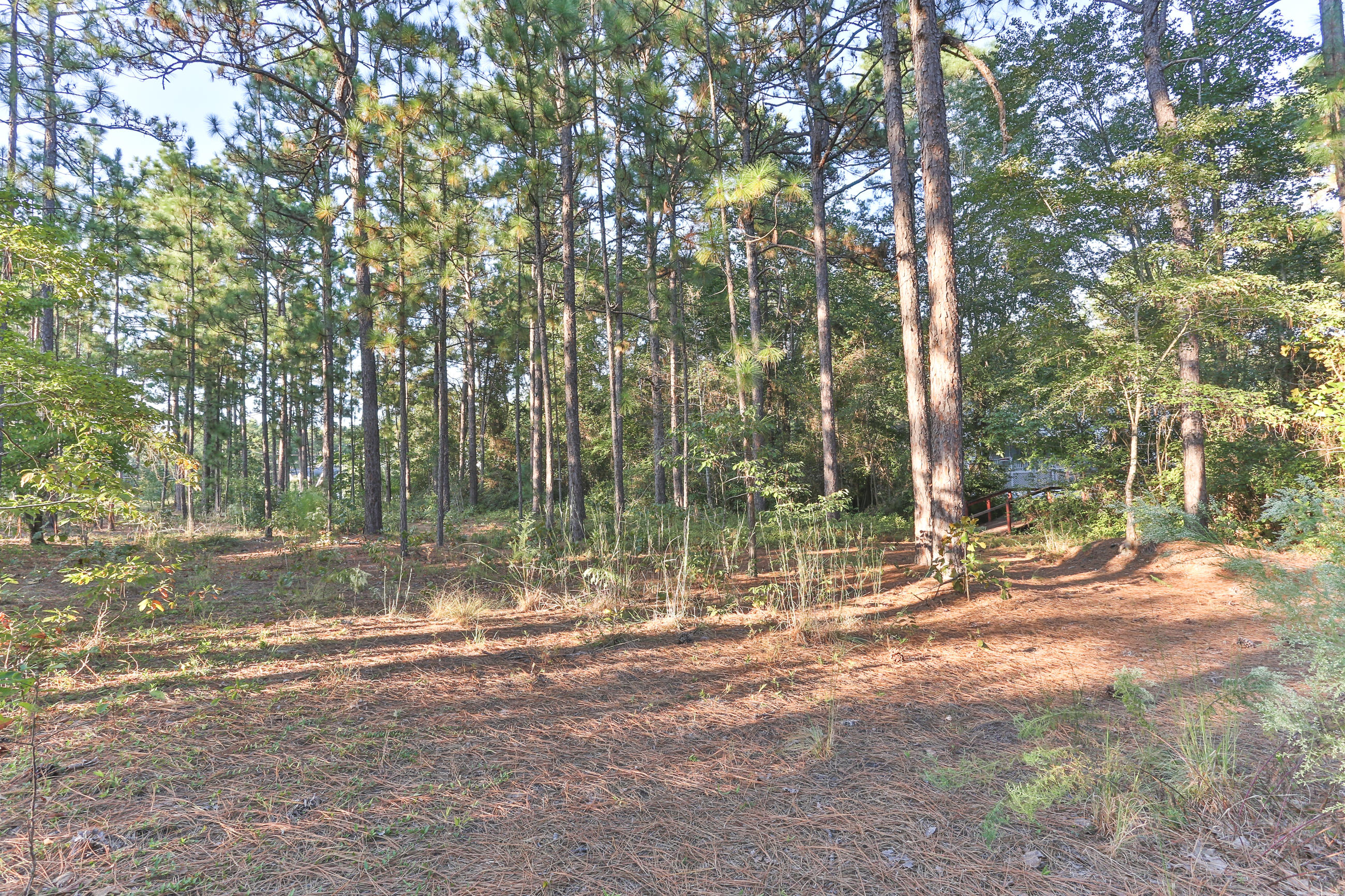 140 Fairway Drive Rockingham, NC 28379 - Photo 54 of 60 2Z1A6853