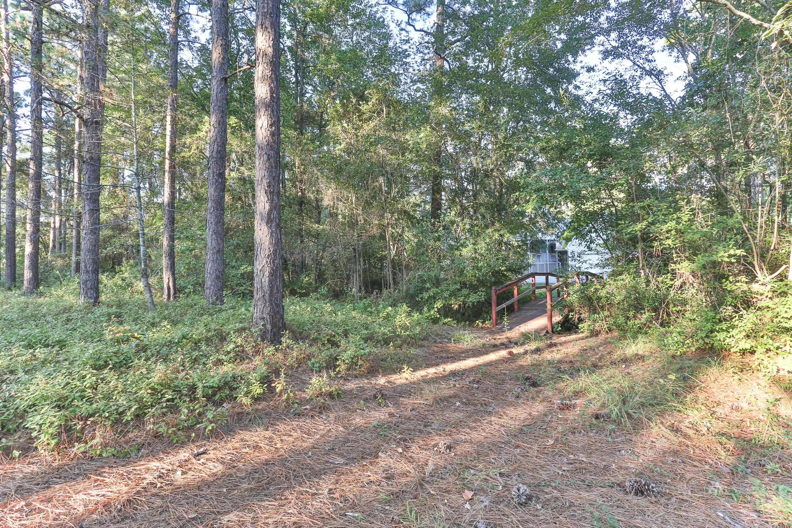 140 Fairway Drive Rockingham, NC 28379 - Photo 55 of 60 2Z1A6857