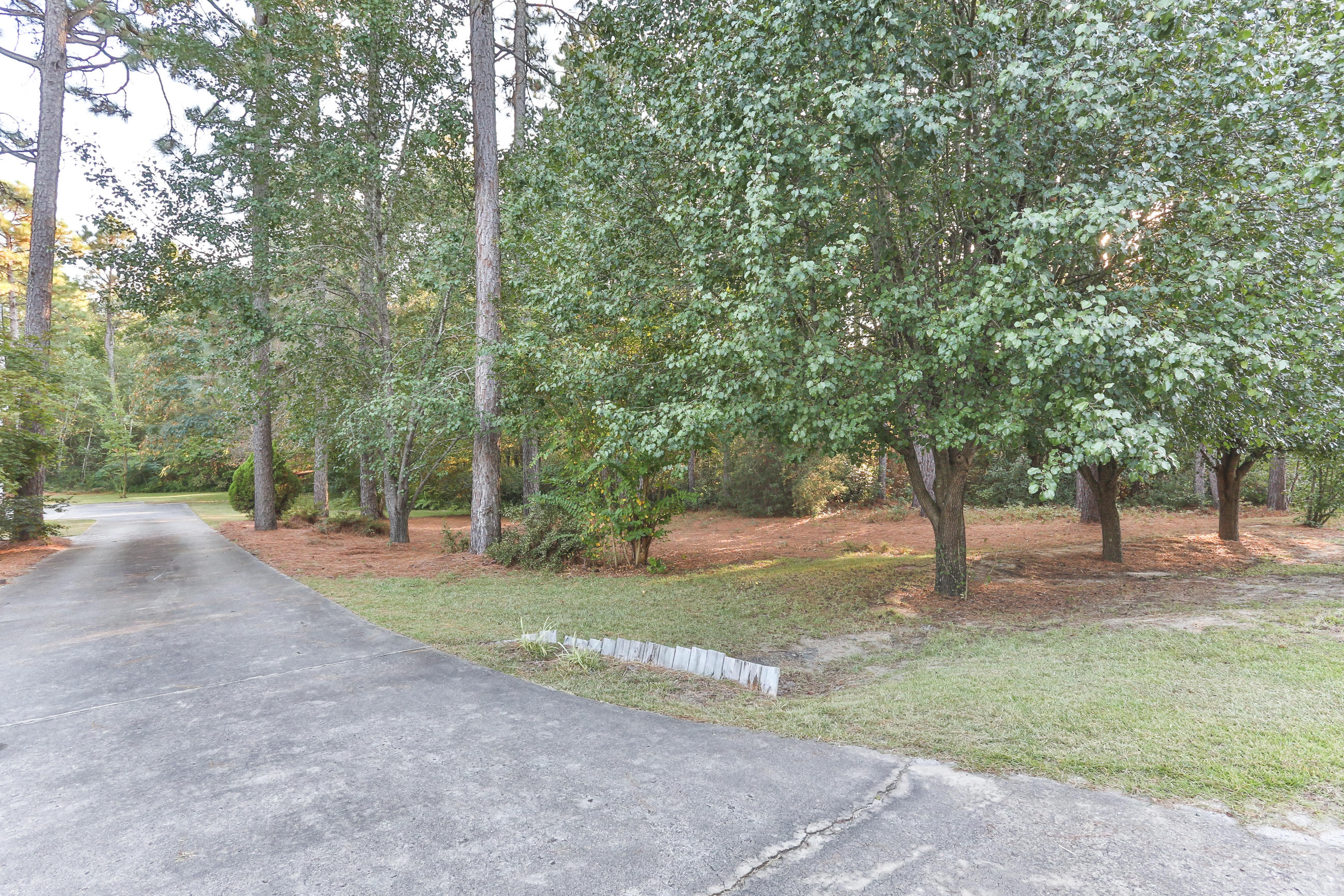 140 Fairway Drive Rockingham, NC 28379 - Photo 59 of 60 2Z1A6873