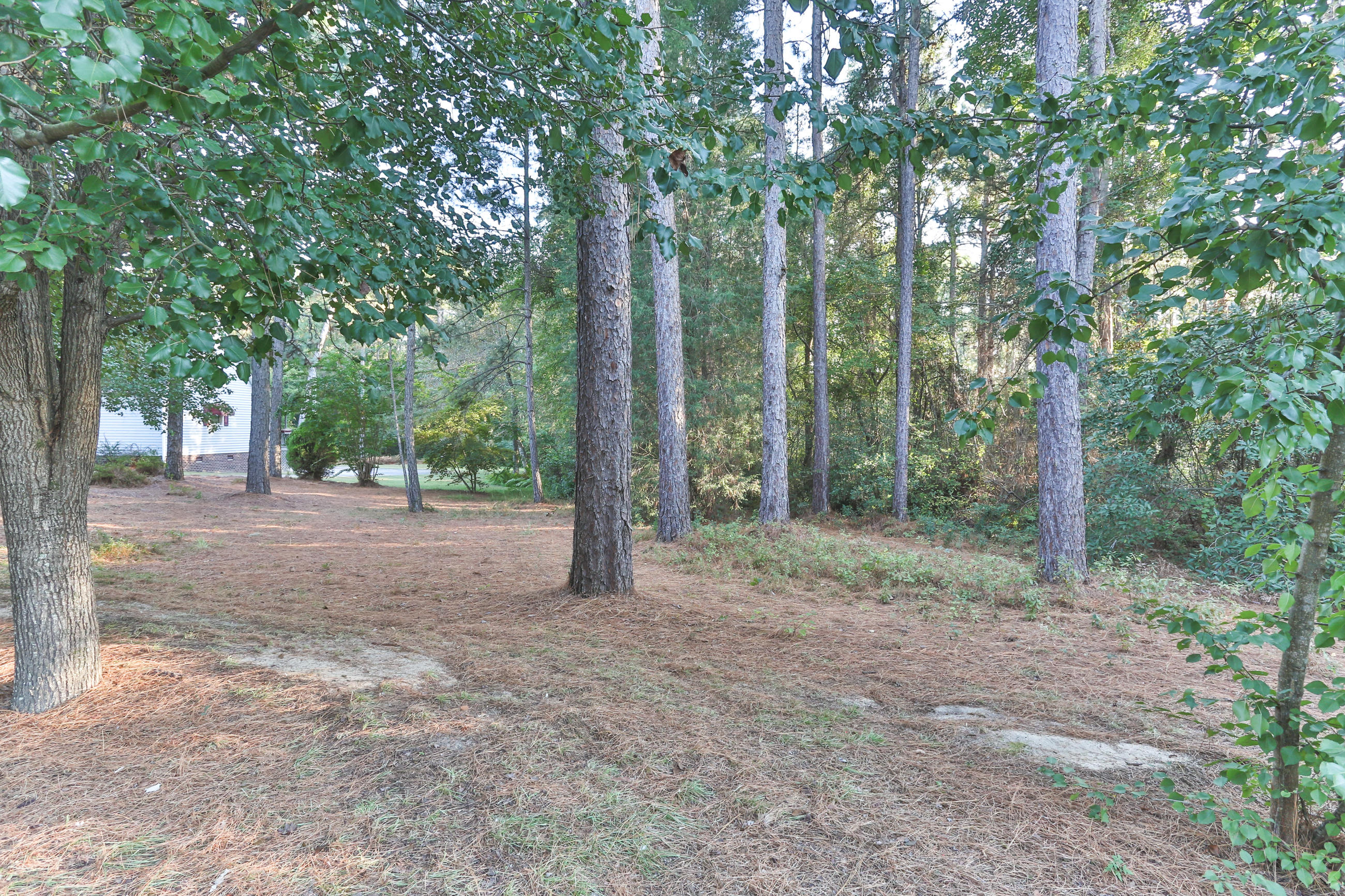 140 Fairway Drive Rockingham, NC 28379 - Photo 60 of 60 2Z1A6877