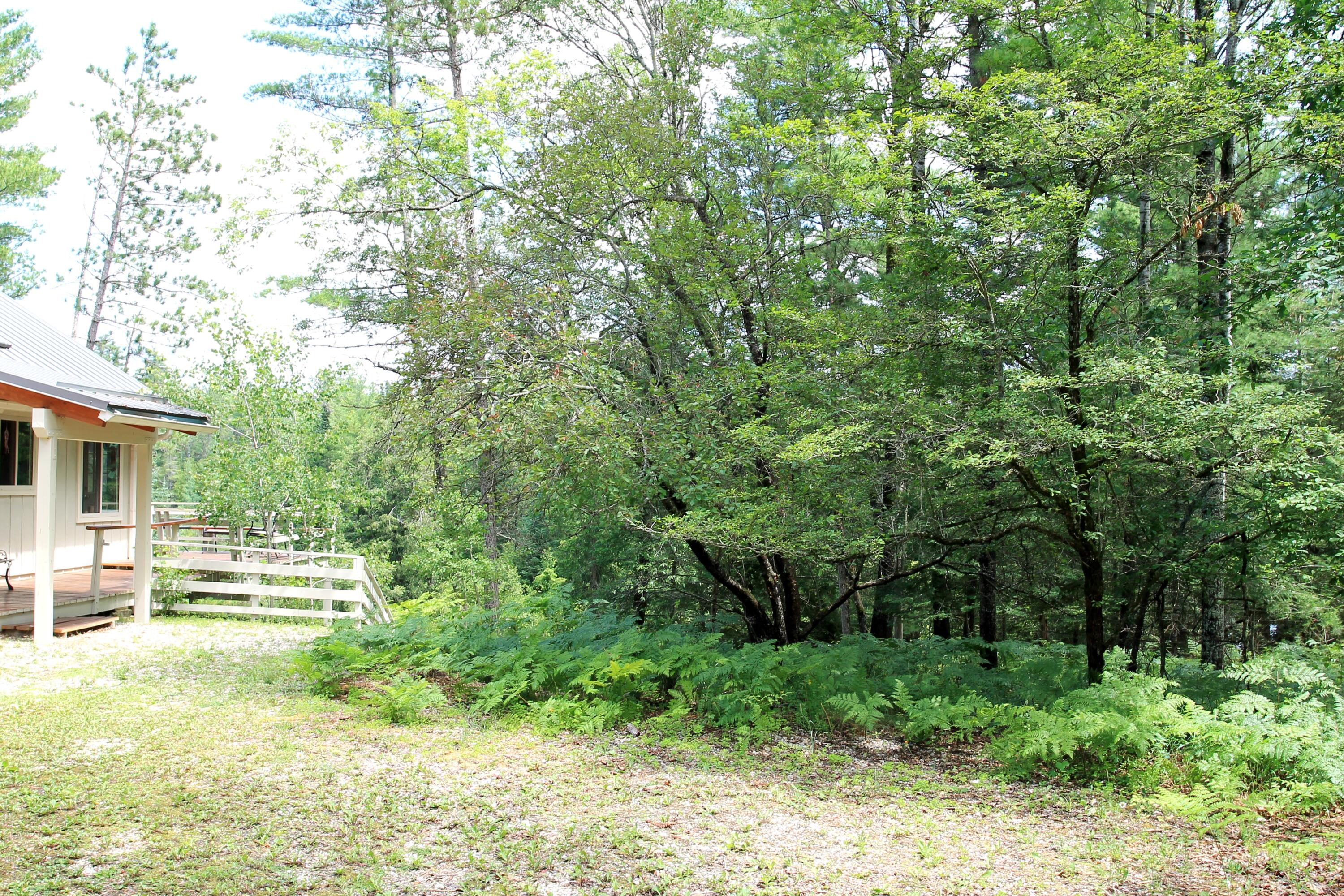 56 South Wye Bend Road Grayling, MI 49738 - Photo 59 of 71 Gallery Image 59