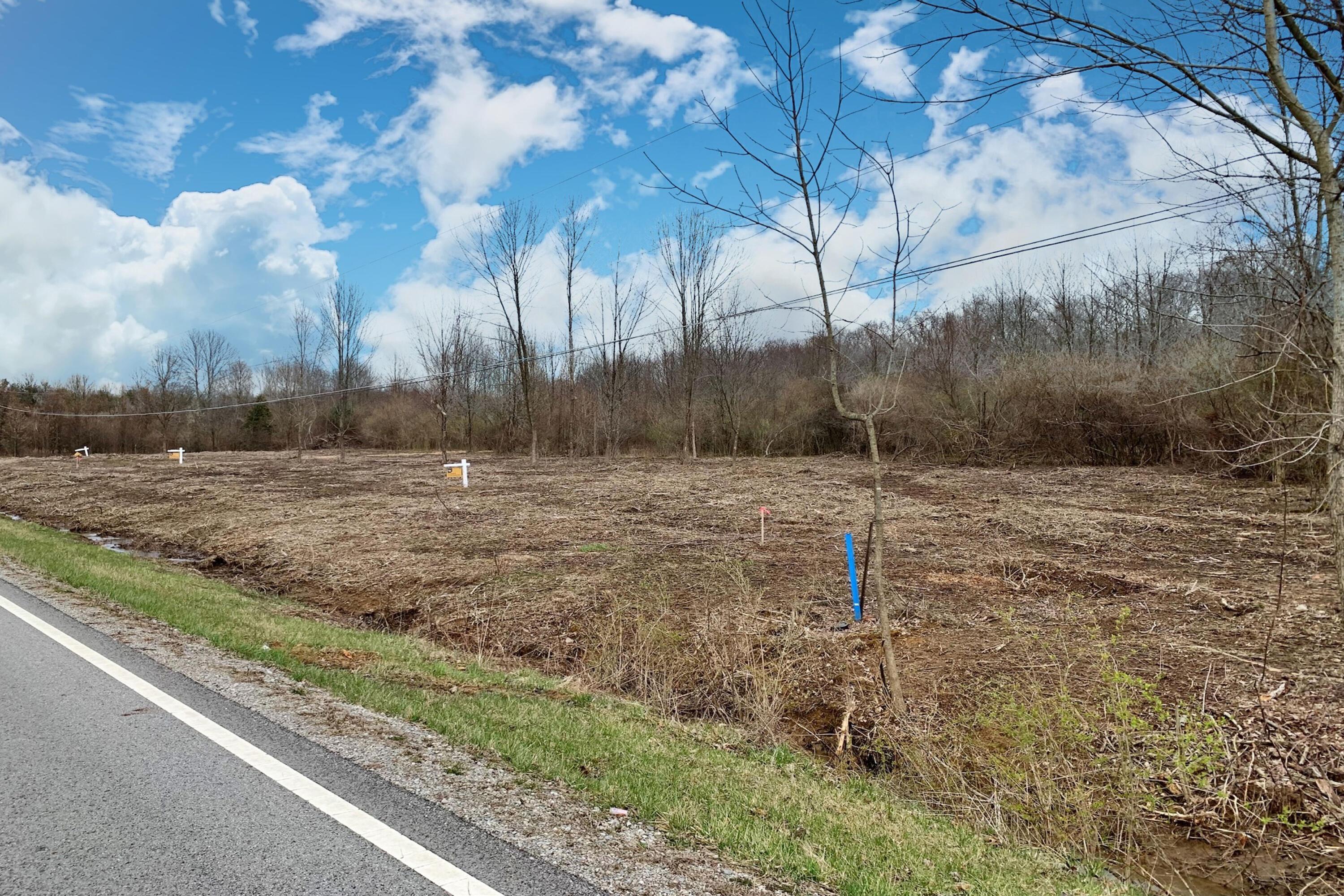 5563 Red Bank Road, Unit TRACT C Galena, OH 43021 - Photo 7 of 32 7.-NW-View-of-Lot-From-Road