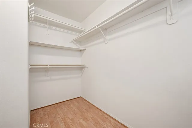 a view of a yard with plants and a large tree