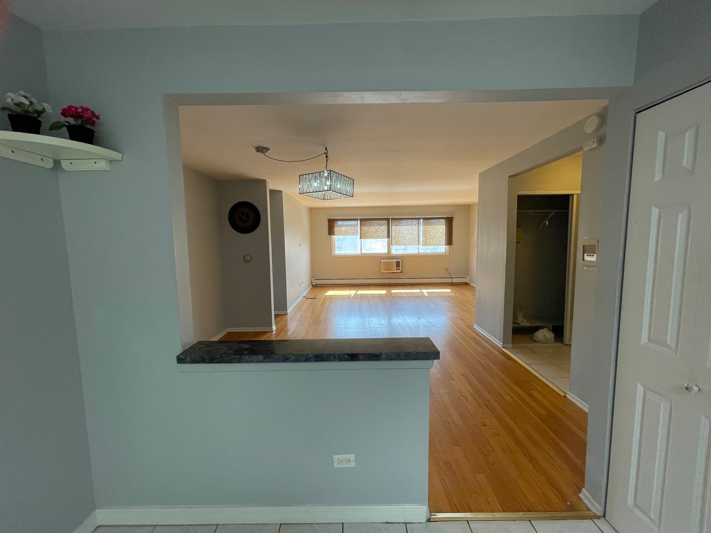 8203 Niles Center Road, Unit 3C Skokie, IL 60077 - Photo 5 of 20