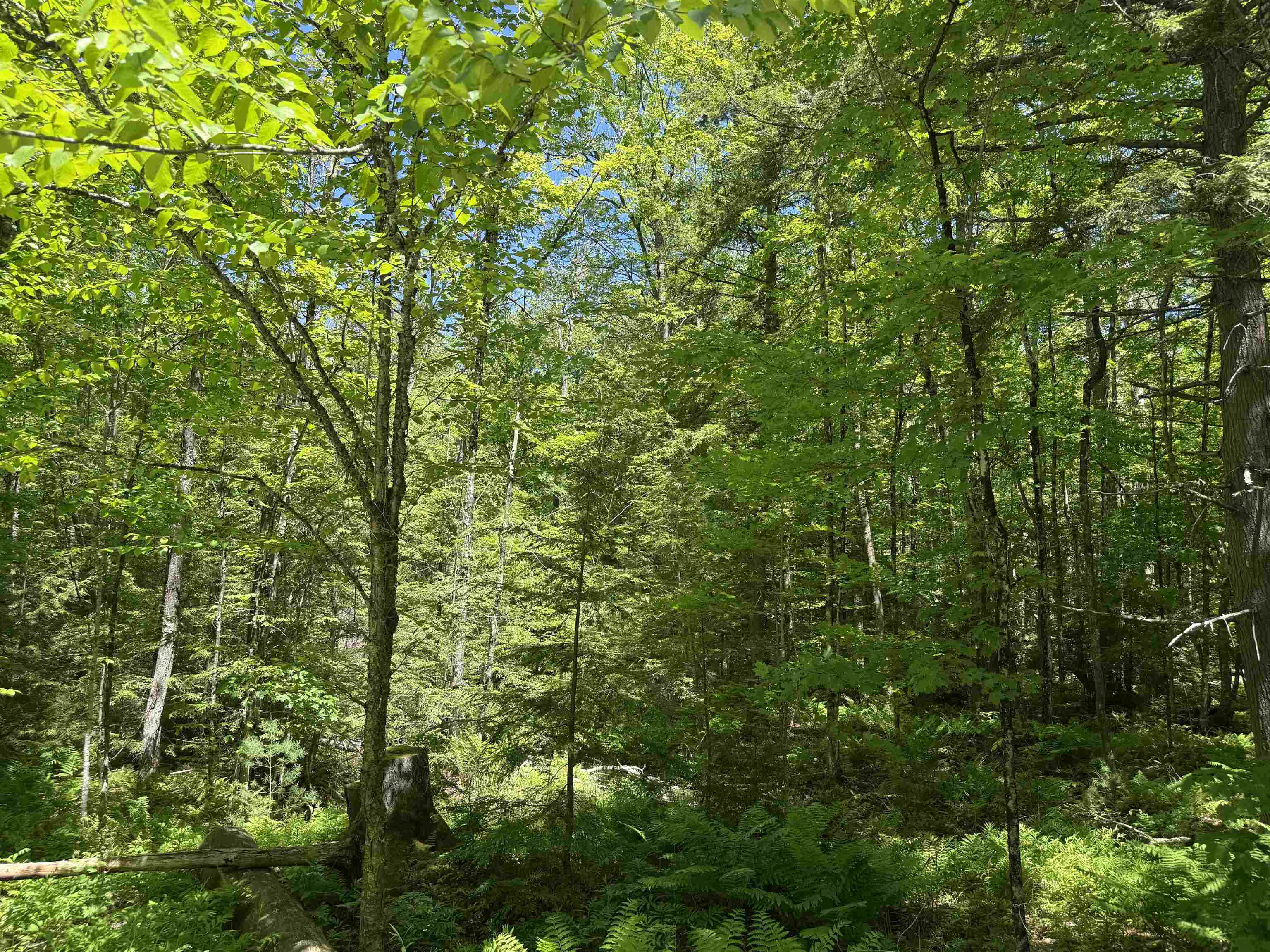 430 Jay Hill Road, Unit 430 Hartford, VT 05001 - Photo 2 of 5